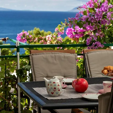 Apartmani Antonela Drasnice Esterno foto
