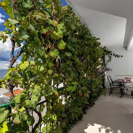 Apartmani Antonela Drasnice Esterno foto